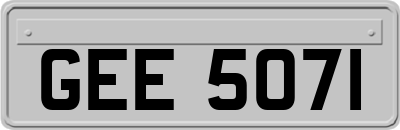 GEE5071