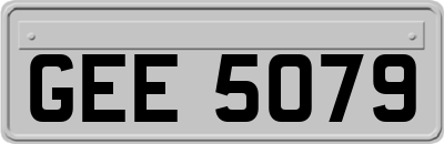GEE5079