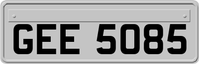 GEE5085