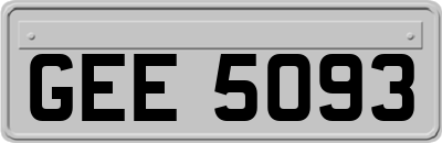 GEE5093