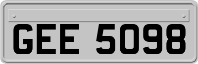 GEE5098