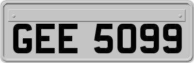 GEE5099