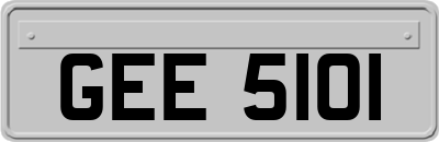 GEE5101