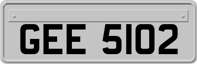 GEE5102