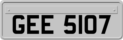 GEE5107