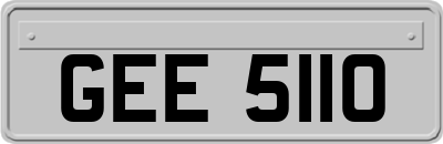 GEE5110
