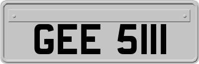 GEE5111