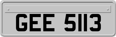 GEE5113