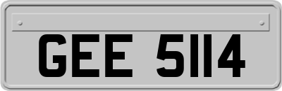 GEE5114