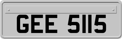 GEE5115