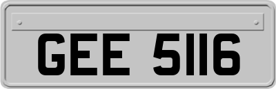 GEE5116