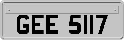 GEE5117