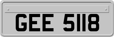 GEE5118
