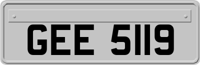 GEE5119