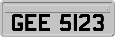 GEE5123
