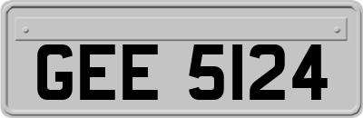 GEE5124