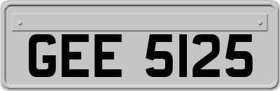 GEE5125