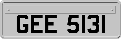 GEE5131