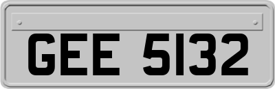 GEE5132