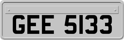 GEE5133