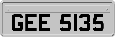 GEE5135