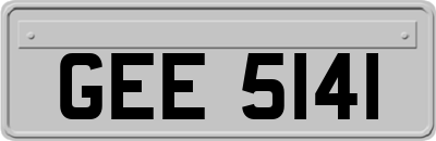 GEE5141