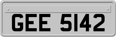 GEE5142