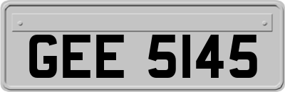 GEE5145