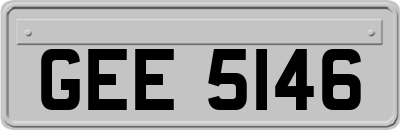 GEE5146