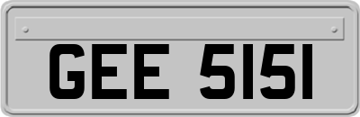 GEE5151