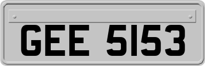 GEE5153