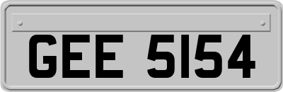 GEE5154