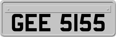 GEE5155