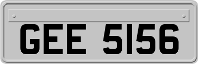 GEE5156