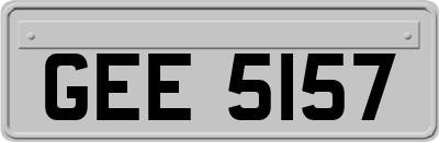 GEE5157