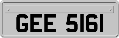 GEE5161