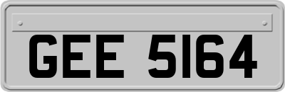 GEE5164