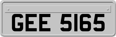 GEE5165