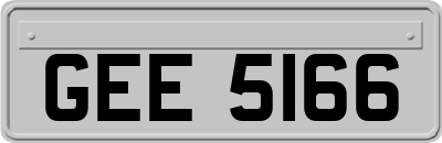 GEE5166
