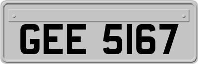 GEE5167