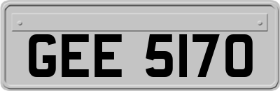 GEE5170
