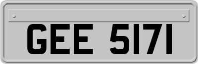 GEE5171