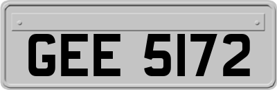 GEE5172