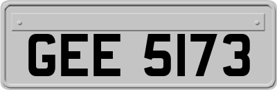 GEE5173