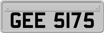 GEE5175