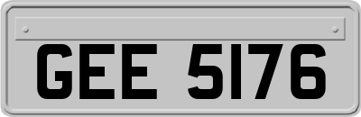 GEE5176