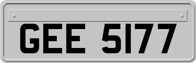 GEE5177