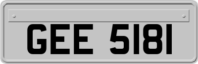 GEE5181