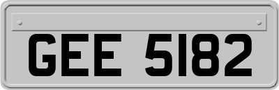 GEE5182
