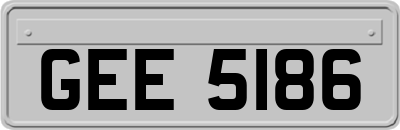 GEE5186